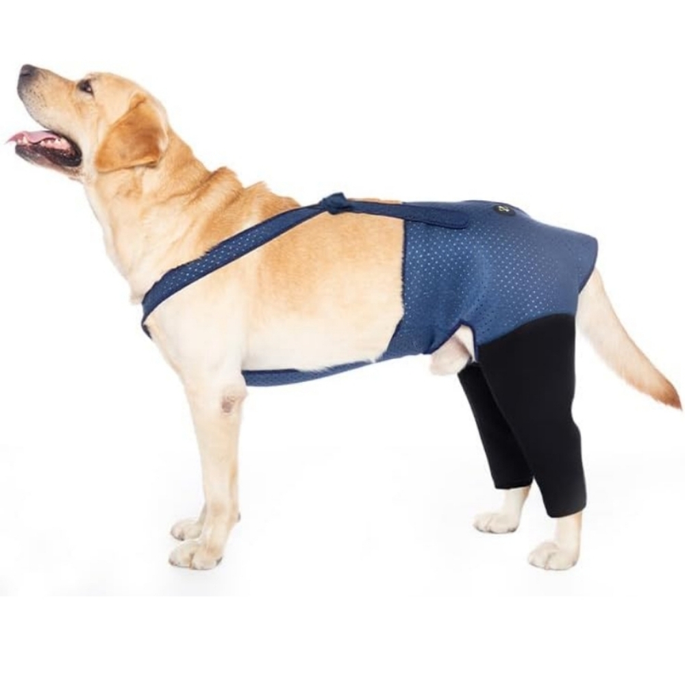 COODEO Dog Recovery Suit Cone Alternative Large